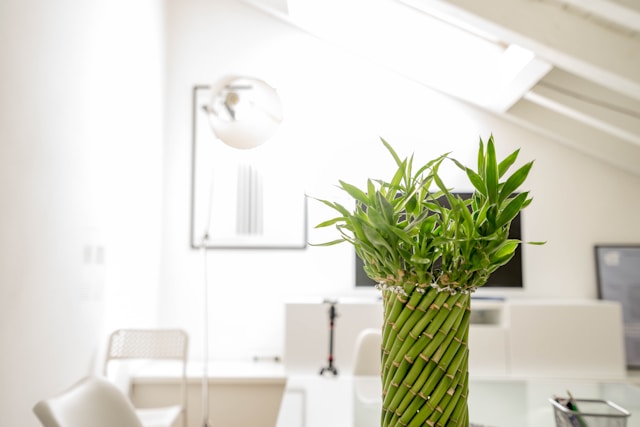 Singapore Clinic Interior Designer: Design Affects Patient Trust