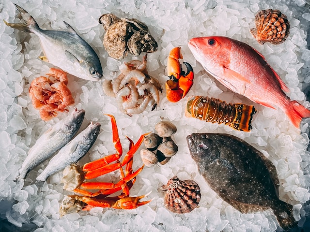 Seafood Supplier Cost Pressures in 2026 With reddotmarket.sg