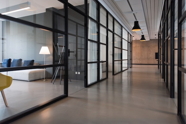 Why Commercial Mold Removal Is Critical for Businesses Today